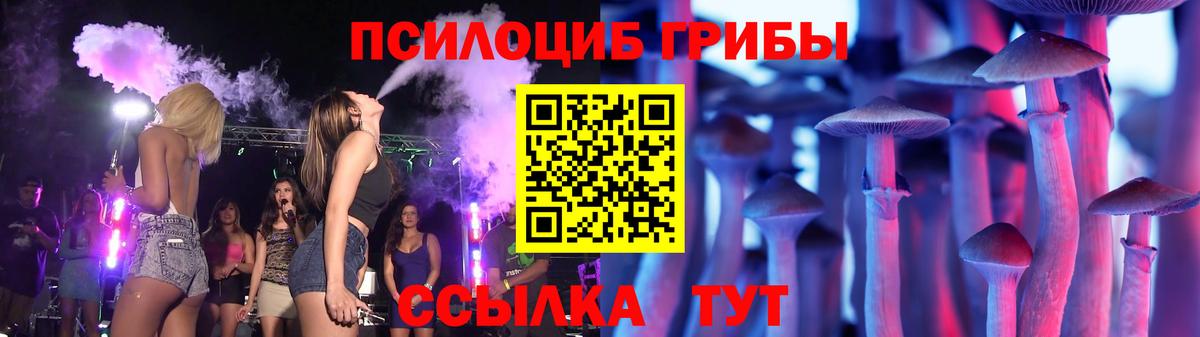 Гагарин  Псилоцибиновые грибы Psilocybine cubensis  Вход с VPN  Галлюциногенные грибы прущие грибы 