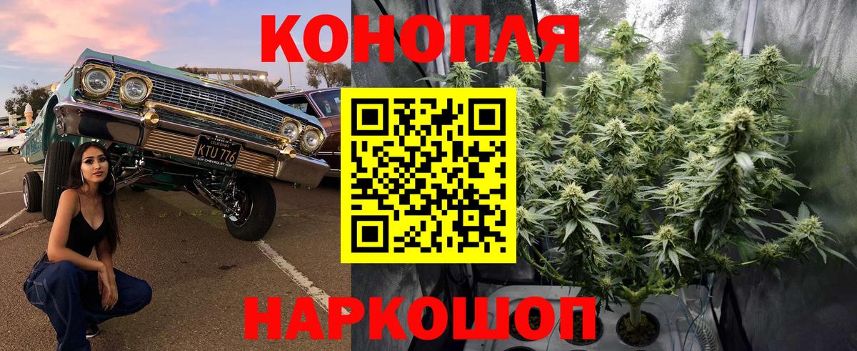 Каннабис White Widow Гагарин